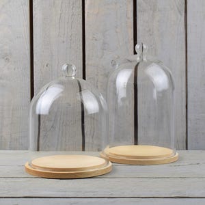 Könnte beinhalten: Zwei transparente Glasglocken mit Holzsockeln. Die Glocken haben unterschiedliche Größen und stehen auf einer hellgrauen Holzoberfläche.