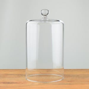 May include: A clear glass cloche with a round knob on top. The cloche is sitting on a wooden surface.