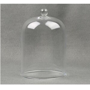 May include: A clear glass cloche with a rounded top and a small, spherical handle. The transparent dome sits on a circular base, offering a view of the background. This decorative piece is suitable for displaying small items.