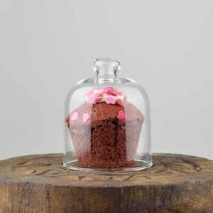 Small Glass Display Cover Cloche Dome With Knob H:10 cm x 8 cm