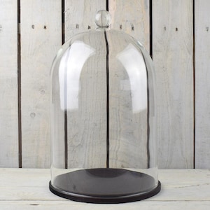 May include: A clear glass dome with a black wooden base. The dome is approximately 12 inches tall and 10 inches wide.