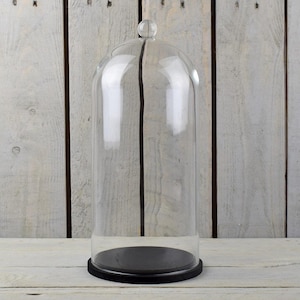 Może przedstawiać: Przezroczysta szklana kopuła z czarną drewnianą podstawą. Kopuła ma około 30 cm wysokości i 20 cm średnicy.