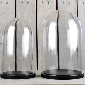 thumbnail image 2 of Large Clear Glass Dome Cloche Display With Black Wooden Base - EMH Modern Showcase 2 of 5