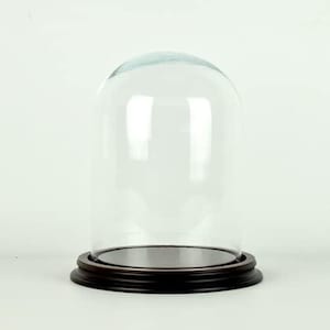 Glass Dome With Wooden Base Vintage Look Small size 21 x 14,5 cm