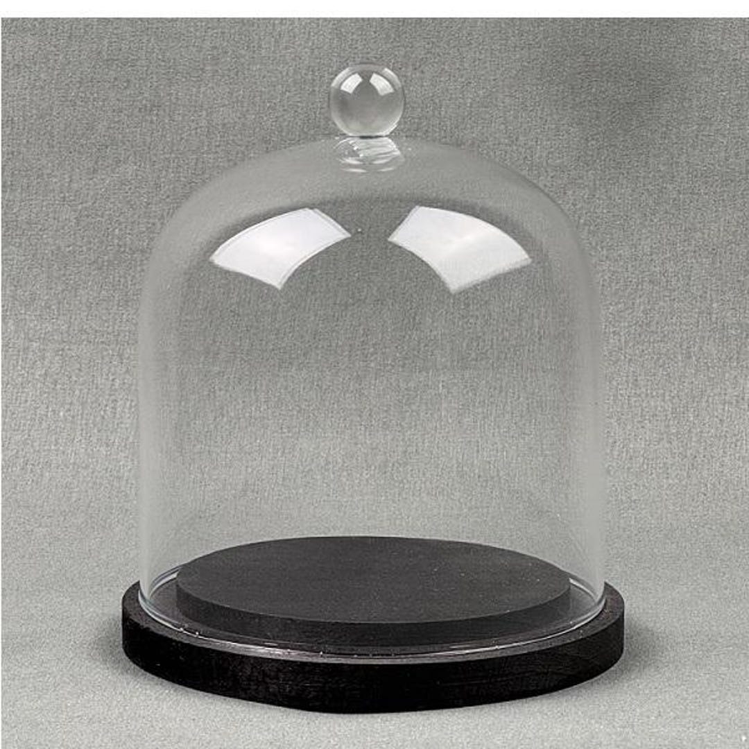 EMH Small Glass Dome Display Cloche With Knob and Black Wooden Base 11. ...