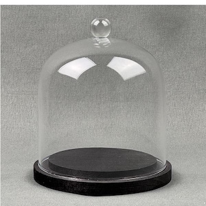 Può includere: Una campana di vetro trasparente con una base rotonda in legno nero. La campana ha un piccolo pomello in vetro trasparente sulla parte superiore. La base misura circa 15 cm di diametro, progettata per proteggere ed esporre oggetti.