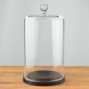 Może przedstawiać: Przezroczysta szklana kopuła z drewnianą podstawą. Kopuła ma około 30 cm wysokości i 20 cm średnicy.