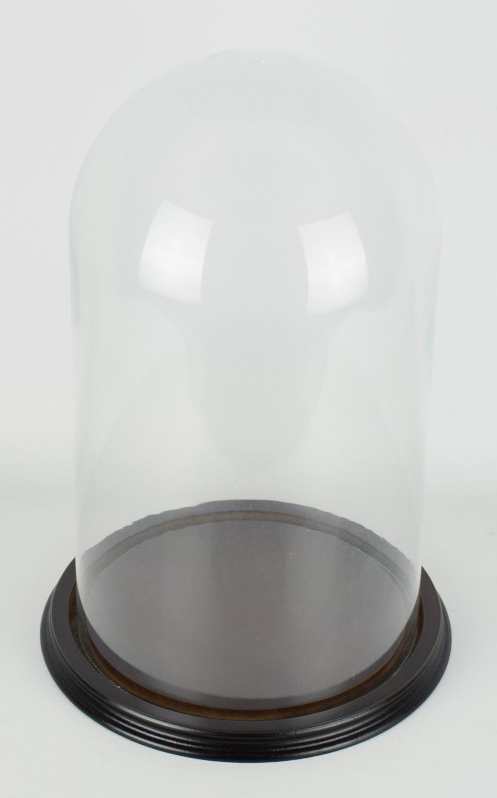Glass Dome Display With Wooden Base Cloche Bell Jar Vintage Look 41 X ...