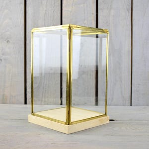 Glass and Brass Display Showcase Box Dome with Wooden Base Tall 23.5 cm