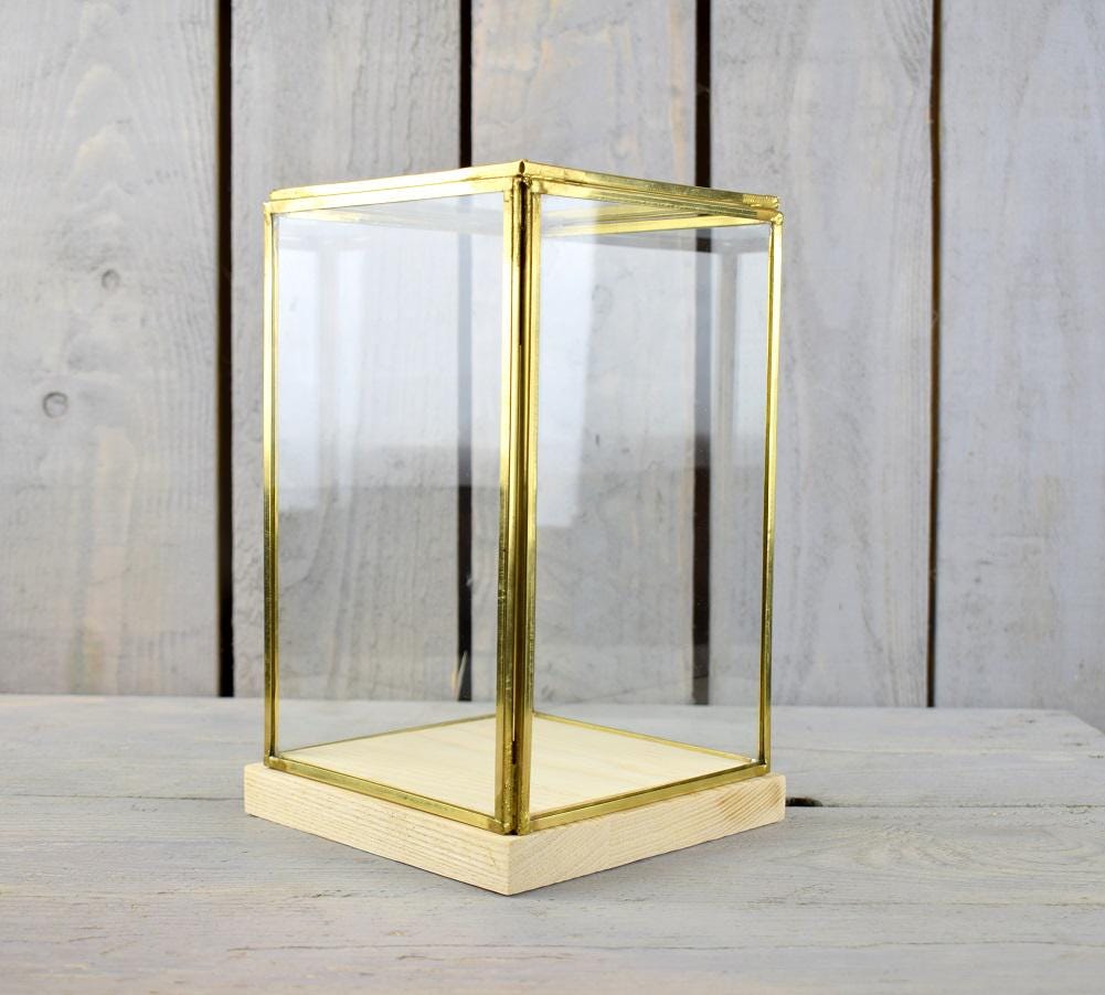 Glass and Brass Display Showcase Box Dome with Wooden Base Tall 23.5 cm