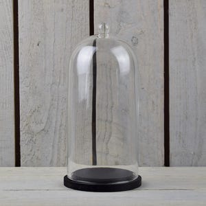 May include: A clear glass dome with a black wooden base. The dome is approximately 25 cm tall and 15 cm wide.
