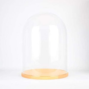 Handmade Clear Circular Large Glass Display Cloche Bell Jar Dome with Wooden Base 41.5 cm