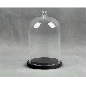 May include: A clear glass cloche with a round, black wooden base. The glass dome has a small, round knob on top. The cloche is designed to display and protect items.