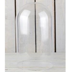 EMH Medium Glass Dome Display Cover Cloche 31 x 15 cm