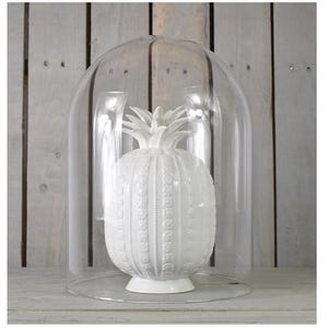 Handmade Clear Circular Glass Display Cloche Bell Jar Dome 30 x 25 cm