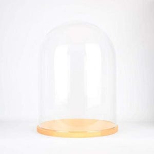 Handmade Clear Circular Large Glass Display Cloche Bell Jar Dome with Wooden Base 41.5 cm