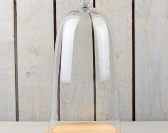 May include: A clear glass cloche with a rounded top and a small, round knob. It sits on a circular wooden base. The cloche is designed to protect and display items. The background is a light-colored wooden surface.