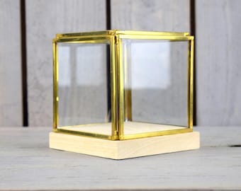 Small Glass and Brass Display Showcase Box Dome with Wooden Base