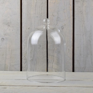 May include: A clear glass cloche with a rounded dome and a knob on top. The cloche is sitting on a light wood surface.