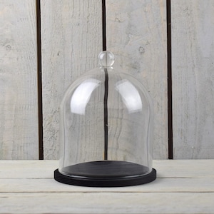 Könnte beinhalten: Eine transparente Glasglocke mit einem schwarzen Holzsockel. Die Glocke ist rund und hat eine kuppelförmige Oberseite.