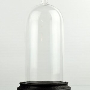 May include: A clear glass cloche with a rounded top and a small knob. The cloche sits on a black, ornate base. This decorative piece is ideal for displaying collectibles or adding a touch of elegance to any space.