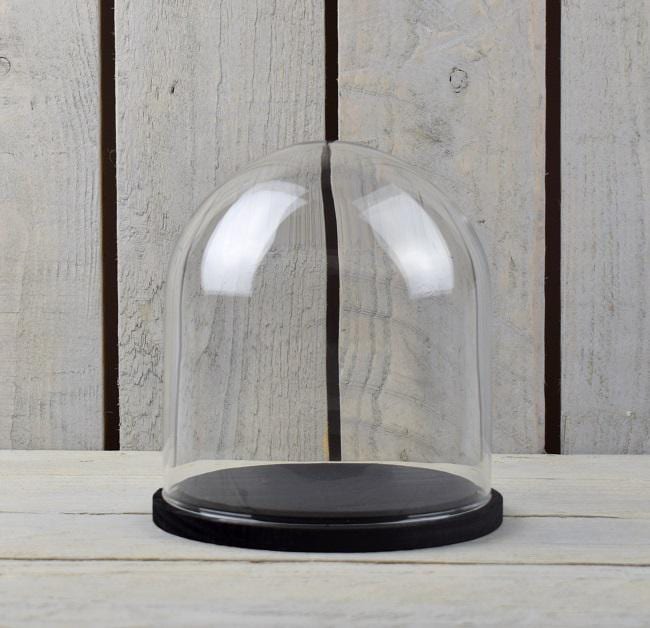 EMH Mouth Blown Clear Circular Glass Dome Display Cloche With Black Base 16 x 15 cm