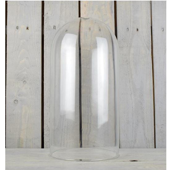Large Glass Dome Display Cloche Terrarium Moss 40 cm with Hole