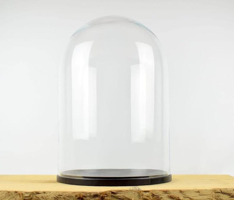 Large Glass Dome Cover Cloche Display With Wooden Black Base Height 52 ...