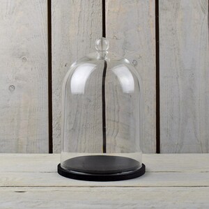 Może przedstawiać: Szklana klosz z przezroczystego szkła z czarną drewnianą podstawą. Klosz to osłona w kształcie kopuły, która służy do ochrony i prezentacji przedmiotów.