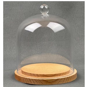 Peut inclure: Une cloche en verre transparent avec une base ronde en bois. La cloche a un petit bouton en verre transparent sur le dessus. La base en bois est de couleur marron clair et présente un grain de bois naturel. La cloche est conçue pour protéger et exposer des objets.
