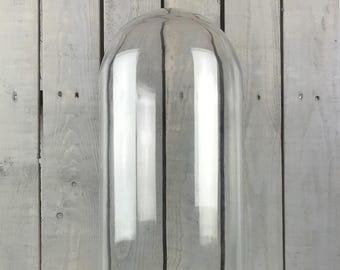 Grand présentoir de cloche en verre avec base en bois noir, 41,5 x 16 cm