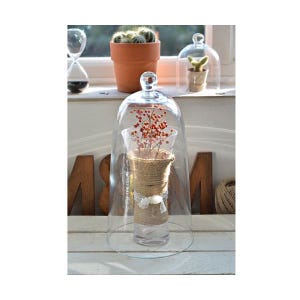 Large Mouth Blown Glass Display Cover Cloche Bell Dome Centrepiece 38 cm