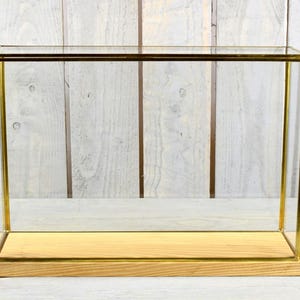 Large Glass and Brass Display Showcase Box Dome with Wooden Base Tall 28.5 cm