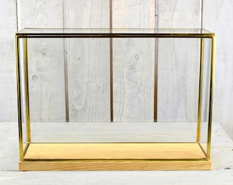 Large Glass and Brass Display Showcase Box Dome with Wooden Base Tall 28.5 cm
