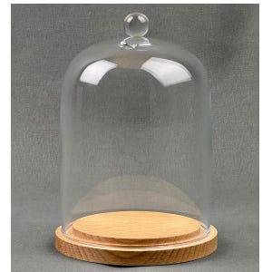 May include: A clear glass cloche with a round wooden base. The glass dome has a small, round knob on top. The wooden base is light brown. The cloche is designed to display decorative items.