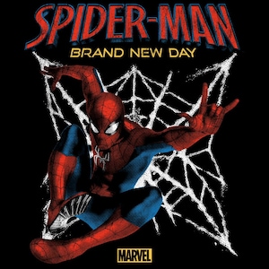 Vintage Spiderman BND Streetwear Design | Retro Comic Art (Digitaler Download)