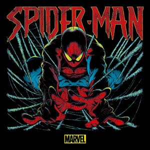 Spiderman | High Quality Vintage Digital Print | For T-shirts
