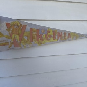 Vintage Virginia Skyline Drive Felt Pennant Flag 25 X 8