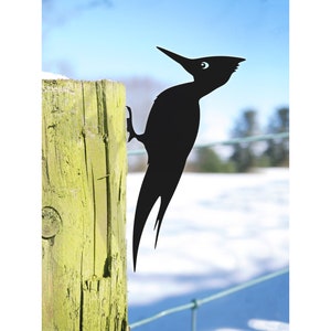 Woodpecker Gift, Garden Bird Ornament, Ornithologist Gift
