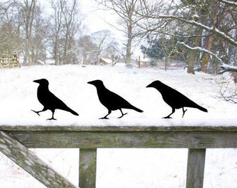 3 x Garden Raven Bird Walks, Black Crow Ornament