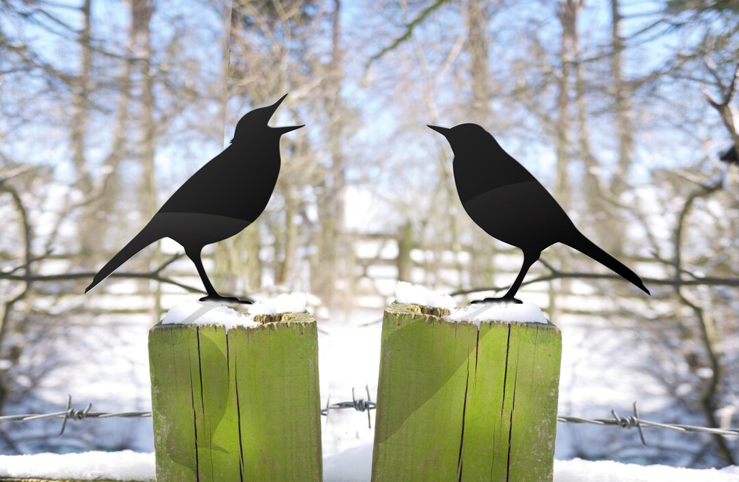 Bird Garden Gifts Lawn Ornaments. Metal Bird Sculpture, Love Birds Yard