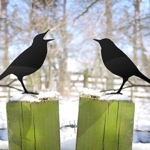 Bird Garden Gifts Lawn Ornaments. Metal Bird Sculpture, Love Birds Yard Art for Bird Watchers