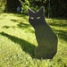see more listings in the Garden Cats and Birds section