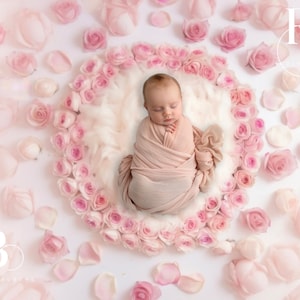 Pink Roses Newborn Digital photography Backdrop, Baby girl composite Digital Background photoshoot photography photographer flowers spring