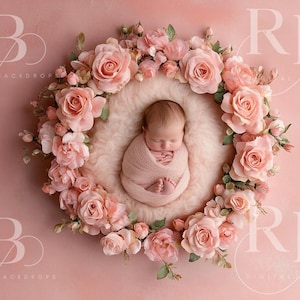 rosa rosa dia dos namorados coração recém-nascido fundo digital bebê fundo digital fotografia recém-nascido amor rosas composto sessão de fotos menina