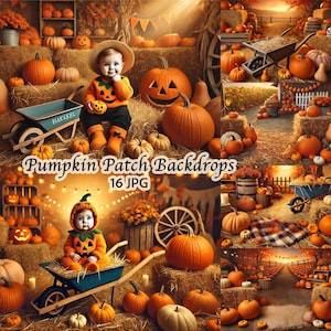 16 pompoen patch herfst baby kinderen oppas digitale achtergrond bundel, herfst digitale achtergrond halloween fotoshoot, peuter fotografie,