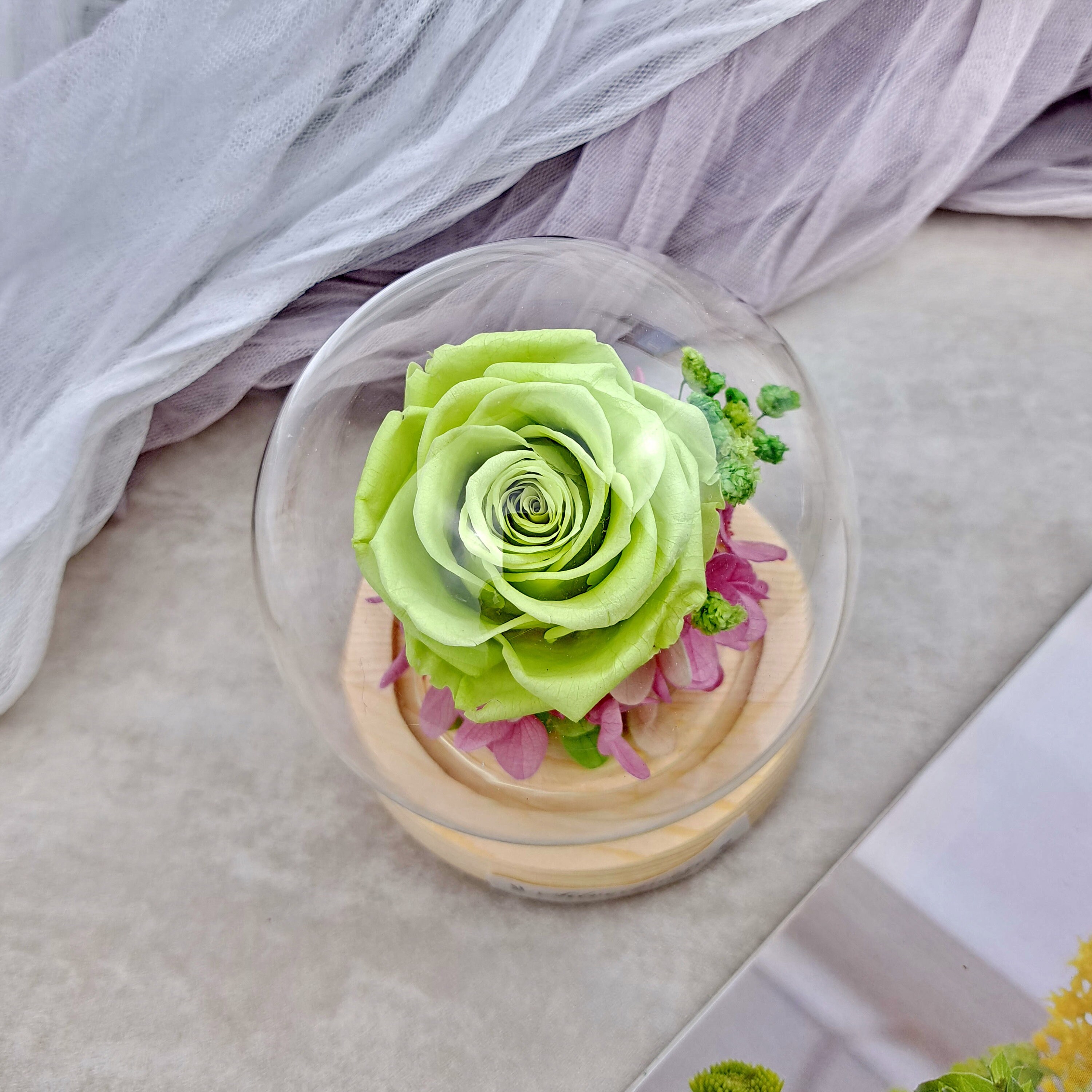 FIACO Ewige Rose In Glaskuppel – Konservierte Blume Mit LED-Beleuchtung, Geschenk Für Sie