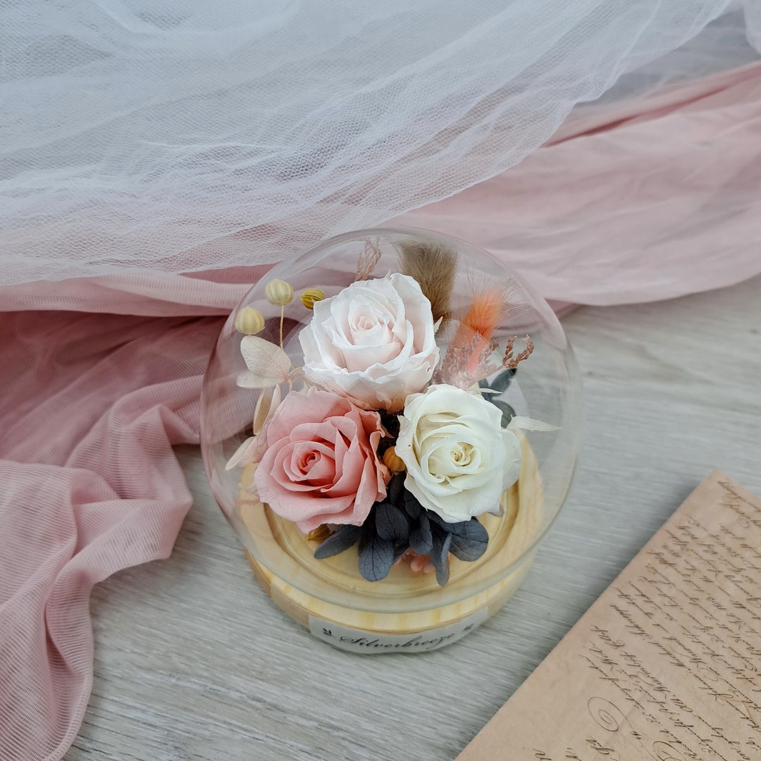 Eternal Rose Glass Dome, Preserved Flower Gift, Gift for Her, Valentine ...