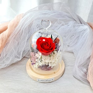Cúpula de vidro rosa eterna, presente de flor preservada, presente para ela, Dia dos Namorados, presente de Dia das Mães, rosa para sempre, cúpula de flor de coração PF-022