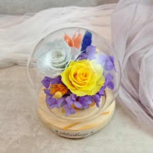 Cúpula de vidro rosa eterna, presente de flor preservada, presente para ela, Dia dos Namorados, presente de Dia das Mães, rosa para sempre PF-051